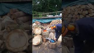 Danarm 1-36 Chainsaw vs Stihl 010AV Chainsaw. ENGLAND vs GERMANY.. Battle of the little ones :-)