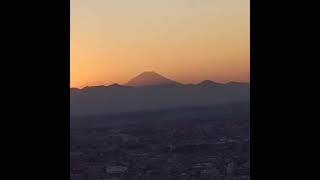 都庁展望台から　　　　　夕景と富士山　　　　　