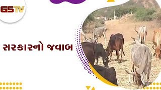 સરકારનો જવાબ, Gandhinagar અને Mehsana જિલ્લામાં નિયત કરતા ઓછી ગૌચર જમીન