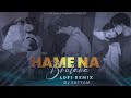 Hame Na Bhulana Sajan | Bollywood Lofi Remix | Dj Satyam