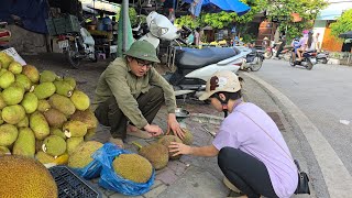 Harvesting Big jackfruit fruit to market sell - a Chicken Thief's Capture | Kien Daily Life