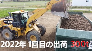 ビート1回目の出荷　出荷トン数300トン　積み込みショベル CAT950K    運搬:美幌運送　出荷先:ニッテン　　　　　北海道美幌町