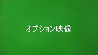 赤潮と夜光虫