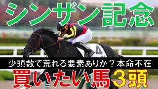 シンザン記念 2023 絶対買うべき馬3頭 2強に割って入る穴馬はこの馬？展開のカギを握る馬