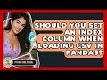 Should You Set An Index Column When Loading CSV In Pandas? - Python Code School