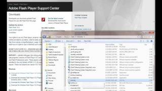 TestComplete: Testing Flash/Flex Applications with FlashInjector