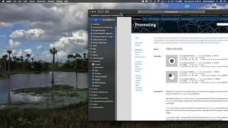 Processing 16 Mouse Position