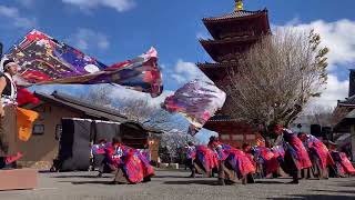 櫻゛with 千葉城太鼓／第21回 黒潮よさこい祭り（2024/11/24）@飯沼観音会場