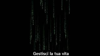 auto imprenditori, gestisci la tua vita, dipende da te