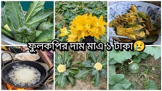 বউ শাশুড়ী মিলে কোথায় চলে গেলাম।। কৃষি কাজ করে সংসার চালাতে অনেক বাধা বিপওি আসে।।