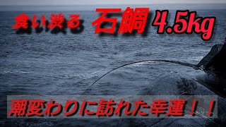 石鯛釣り　#51内之浦