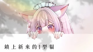 ✦好像可以練英文✦ 新來的I型貓去鎮上晃一圈找人瞎聊｜AI Town【夏喵可Meowko】