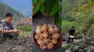 The sweetness of taro is like warm sunshine shining on the autumn path