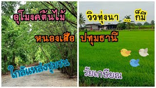 ขายที่ดิน ใกล้แหล่งชุมชน ที่ดินเงินผ่อน ที่ดินหนองเสือ ที่ดินปทุมธานี ดาวน์เพียง 30,000 บาท‼️