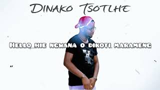 Ntate Elmo - Dinako Tsotlhe ft Ubuntu Band (Official lyrics)