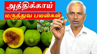 அத்திக்காய் மருத்துவ பயன்கள் | Athikai benefits in tamil (fig) | Thanithuvamm