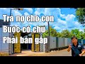 Trả nợ cho con ! Cô chú lớn tuổi đành bán nhà vườn tâm huyết