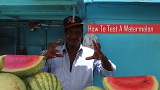 Real Guyanese Fruits - How To Check A Watermelon In De Market