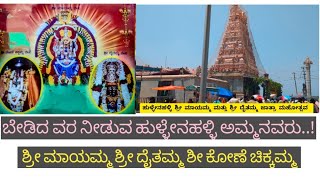 ಬೇಡಿದ ವರ ನೀಡುವ ಹುಳ್ಳೇನಹಳ್ಳಿ ಅಮ್ಮನವರು... ಶ್ರೀ ಮಾಯಮ್ಮ ಶ್ರೀ ದೈತಮ್ಮ ಶೀ ಕೋಣೆ ಚಿಕ್ಕಮ್ಮ ..!!