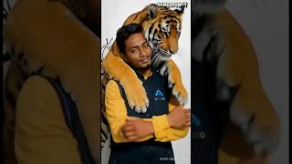 অবিশ্বাস্য! মানুষের পিছনে বাঘ #vairalshort #shortsviral #shorts #funnyshorts #tranding #new #tiger