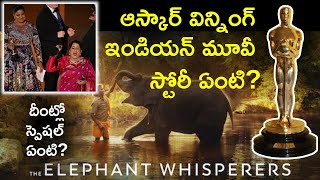 The Elephant Whisperers Short Film Full Story | Oscar Winning Film | Detail Edition Telugu