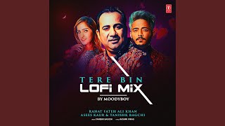 Tere Bin Lofi Mix (Remix By Moodyboy)