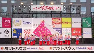 聖和学園短期大学 和敬　第26回みちのくYOSAKOIまつり　2023年10月8日　市民広場会場