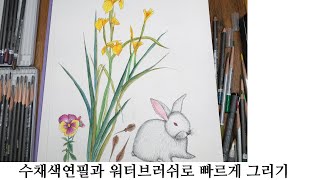 수채색연필과 워터브러쉬로 그림 빠르게 그리기 The painting with staedtler colour pencil and water brush