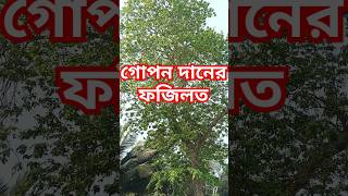 গোপন দানের ফজিলত🤲#shorts #shortsfeed #browsefeatures #islamicshorts #viralvideo #nature