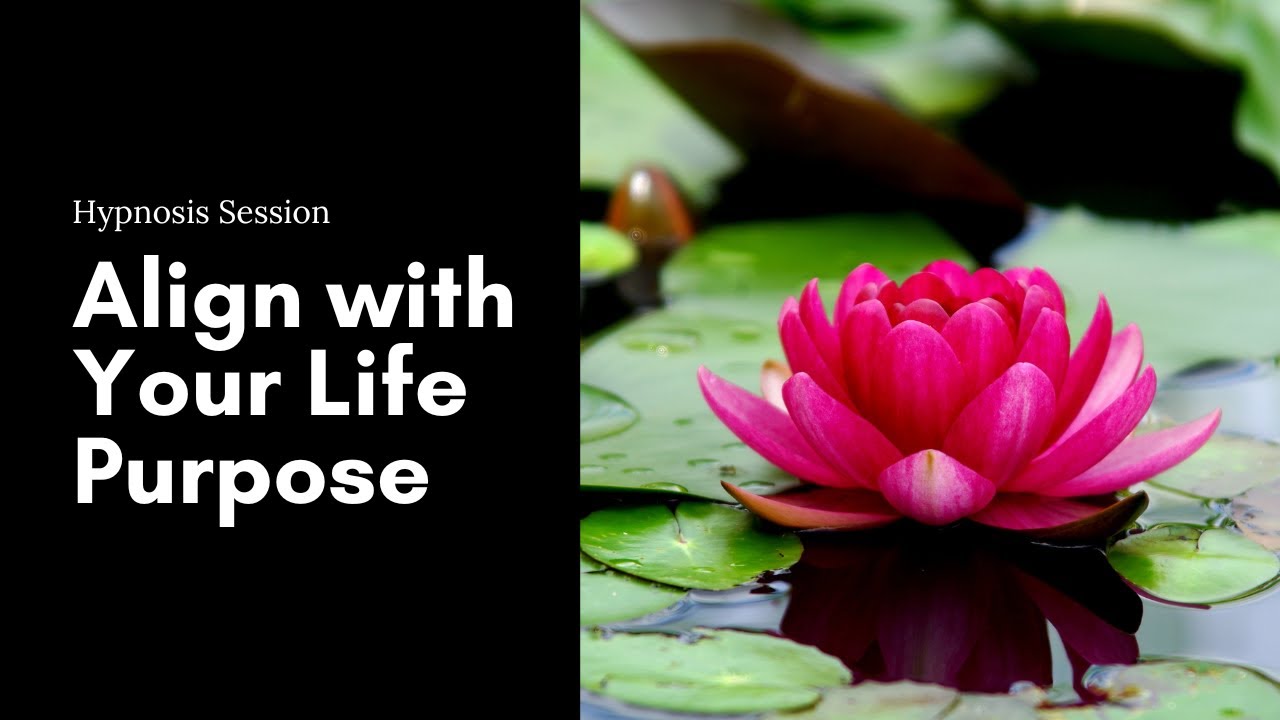 Connect With Your Life Purpose Guided Hypnosis Session Manifestation