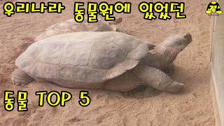 우리나라 동물원에 있었던 동물 TOP5