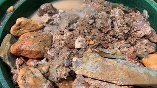 Gold Prospecting in North Carolina #gold massive pay streak