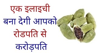 एक इलाइची बना देगी आपको रोडपति से करोड़पति/इलाइची के टोटके/इलाइची के फायदे एक इलाइची बना देगी आपको रोडपति से करोड़पति/इलाइची के टोटके/इलाइची के फायदे