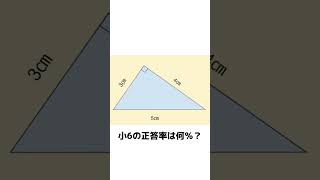 直角三角形の面積、求められますか？