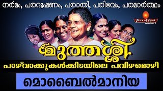 Muthassi -1 വീട്ടിലെ കോലാഹലങ്ങൾ, ഒപ്പം മുത്തശ്ശിയുടെ മർമ്മത്തിൽ കൊള്ളുന്ന കമന്റും