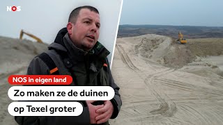 Duinen afgraven voor een betere natuur? Op Texel is dat heel logisch