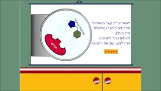 1 ביוטכנולוגיה בפעולה חיבור מולקולה על ידי אנזים ביוטכנולוגיה בפעולה 2