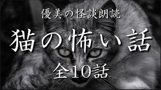 【怪談朗読】猫にまつわる怖い話 《全10話》【途中広告なし】