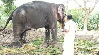 വെളിനല്ലൂർ മണികണ്ഠന് പായസം കൊടുത്തപ്പോൾ കാണിച്ചത് കണ്ടോ