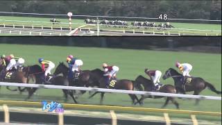 【オルフェーヴル】3勝目 2011　皐月賞