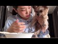 vlog 당중독자의 먹방브이로그 ft.과자파티 피타칩 시나몬슈가 칩스아호이 팝코너스 캐틀콘 쵸바니 아몬드코코넛 파리바게트 샌드위치