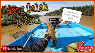 Udang Galah Sg.Suai | Nikmat tarikan UDANG GALAH sepit biru air begini!! #udanggalah