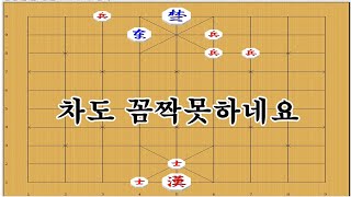 병하나가 차와 맞짱 뜨자고하네요 , 나원참 - 장기박보