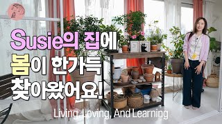 봄향기 가득한 Susie's house를 소개합니다