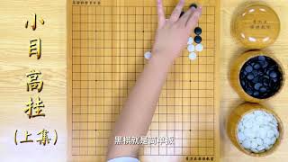 围棋【职业棋手讲AI定式】小目 高挂（上集）