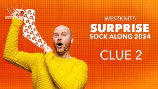 CLUE 2 - Color Popportunity Socks