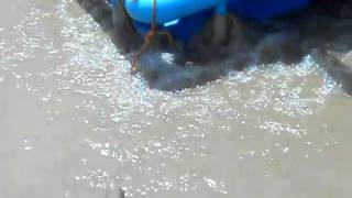 See the floculation of clay.AVI