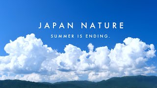 【Japan Nature】夏の終わり。 | Gallery-Tetote Nature series.