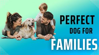 How to Choose the Right Dog Breed for Your Lifestyle 🏠🐕 | Expert Tips for Every Type of Owner