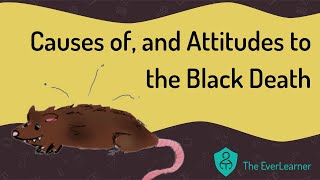 Black Death Causes and Attitudes